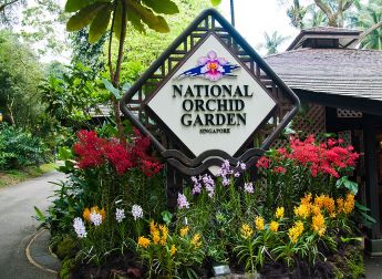 Spring outing in National Orchid Garden