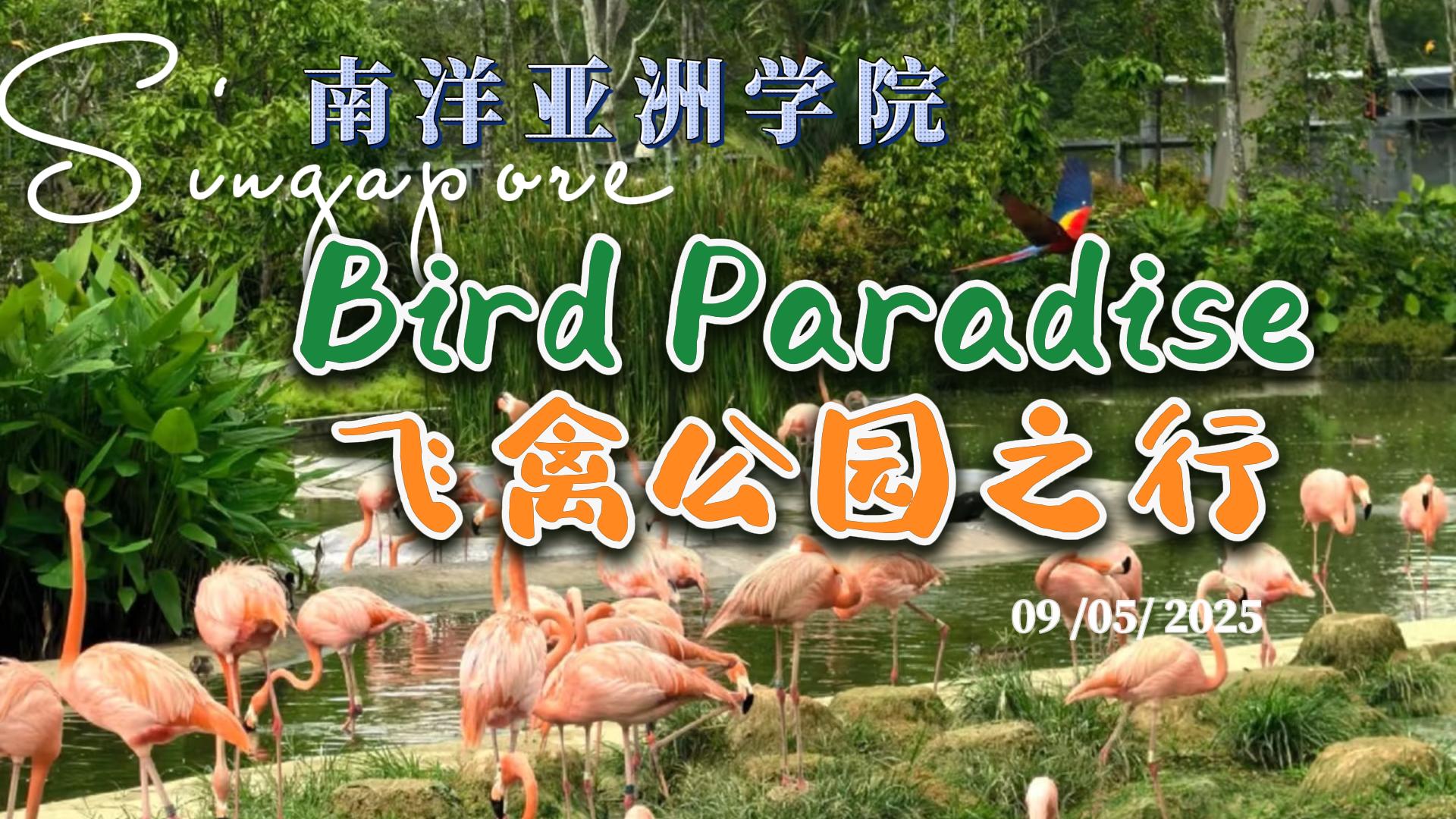 Bird  Paradise